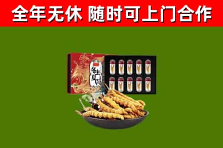 蜀山回收冬虫夏草价格
